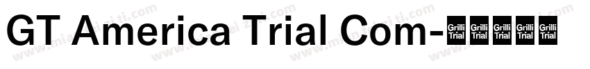 GT America Trial Com字体转换